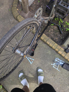 A picture of a black bicycle flipped upside down, patially placed inside a flower bed. The photo is taken from a person’s perspective, and you can see them partially, wearing black shorts and white socks in olive green sandals. Wrenches are lying on the concrete ground next to the bike.