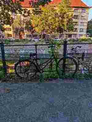 Photo of a bike locked outside, slowly overgrown by weeds. The further down a picture is listed on this page the worse it gets in quality until its content is barely visible.
