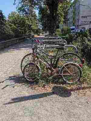 Photo of a bike locked outside, slowly overgrown by weeds. The further down a picture is listed on this page the worse it gets in quality until its content is barely visible.