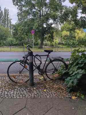 Photo of a bike locked outside, slowly overgrown by weeds. The further down a picture is listed on this page the worse it gets in quality until its content is barely visible.