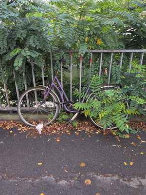 Photo of a bike locked outside, slowly overgrown by weeds. The further down a picture is listed on this page the worse it gets in quality until its content is barely visible.