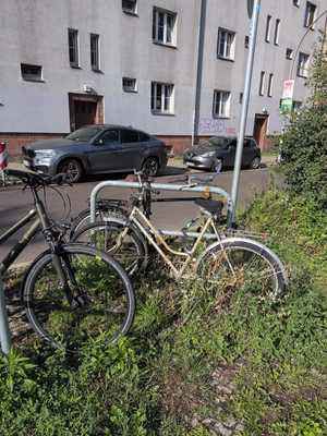 Photo of a bike locked outside, slowly overgrown by weeds. The further down a picture is listed on this page the worse it gets in quality until its content is barely visible.